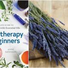 Aromatherapy For Beginners - Review