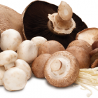 An Introduction To Fresh Canadian Mushrooms 1
