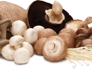 An Introduction To Fresh Canadian Mushrooms 1